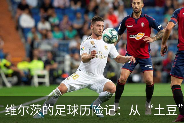 维尔茨的足球历险记：从“土豆”到“薯队